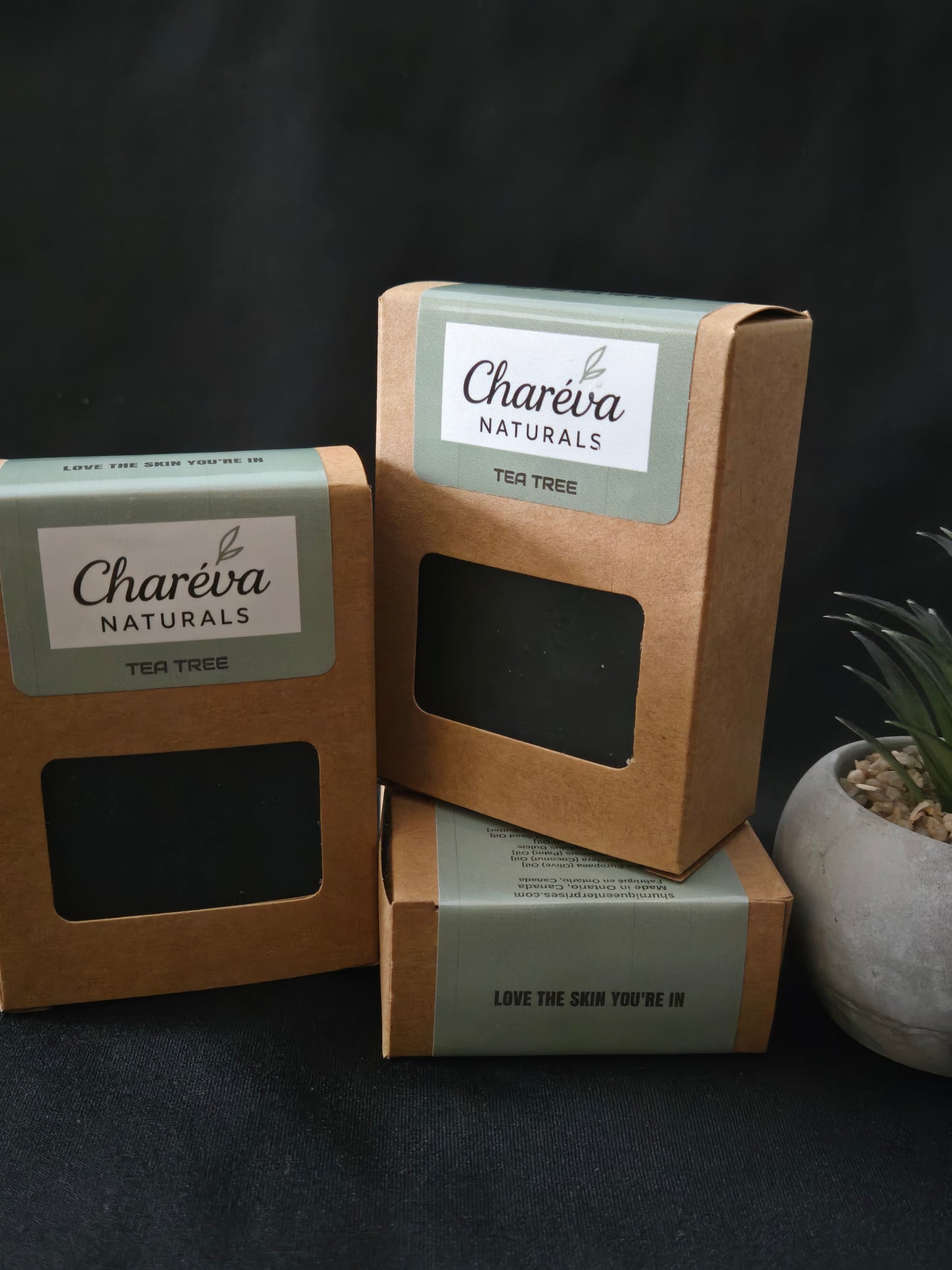 Activated Charcoal Botanical Soap Bar
