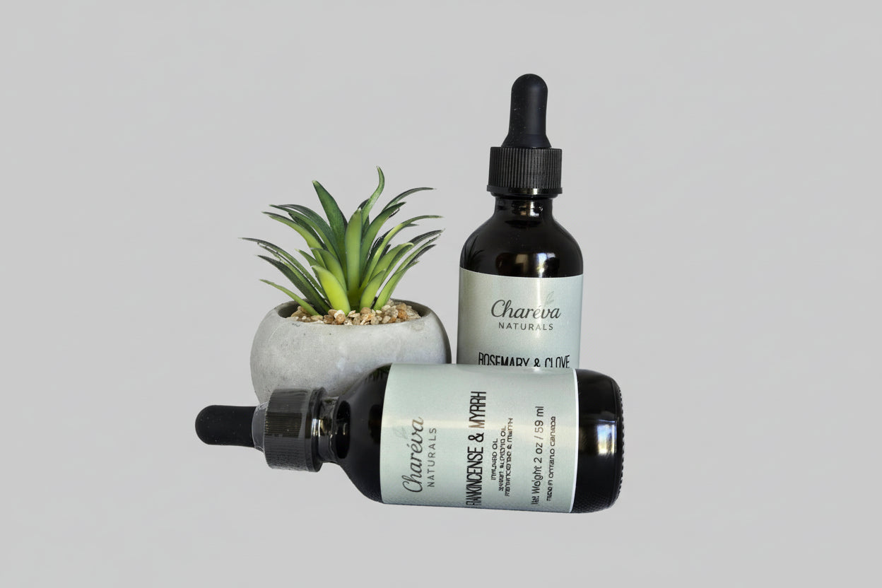 Two skincare bottles with a small plant on a textured surface